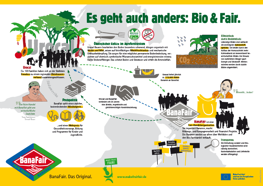 Infografik Bio und Fair